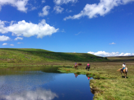 Welsh Border 4 Day Trail